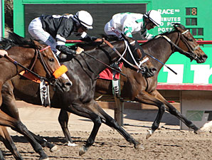 Hindu Kush wins the Ann Owens Distaff Handicap.