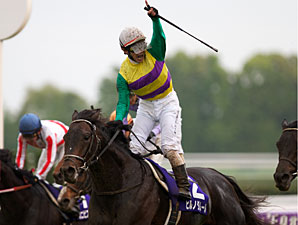 Hiruno d'Amour wins the Emporer's Cup Spring
