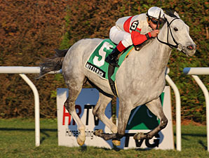Hit It Rich wins the 2011 Long Island Handicap.