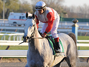 Hit It Rich wins the 2011 Long Island Handicap.