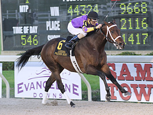 Hit The Road Lee wins the Gentlemen Starter.