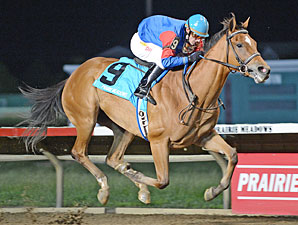 Hitechnoweenie wins the 2013 Panther Stakes.