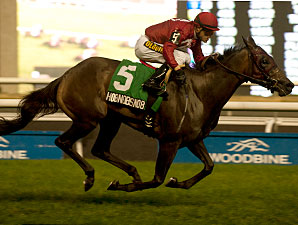 Hobnobsnob wins the 2013 Victoriana Stakes.