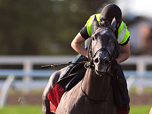 Hollinger - Woodbine, September 13, 2011.