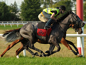 Hollinger - Woodbine, September 13, 2011.