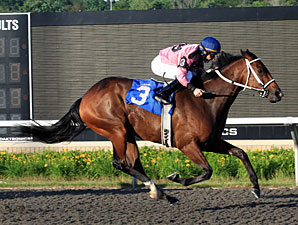 Hollywood Hit in the Karl Boyes Memorial Northwestern PA Stakes.