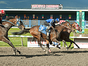 Hollywood Miss wins the Brighouse Belles Stakes.