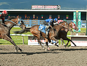 Hollywood Miss wins the Brighouse Belles Stakes.