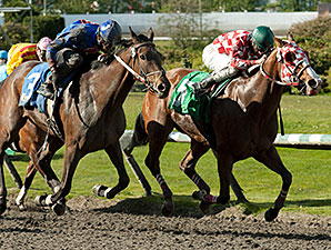 Hollywood Miss wins the Brighouse Belles Stakes.