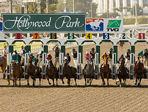 Hollywood Park Attendance Up, Handle Declines