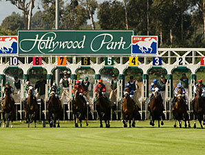 Hollywood Gets Full Alliance Accreditation Hollywood Gets Full Alliance Accreditation