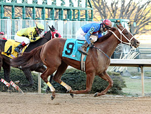 Holy Heavens wins the 2011 Martha Washington.