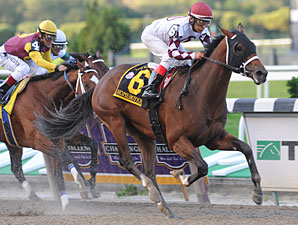 Homeboykris wins the 2009 Champagne.