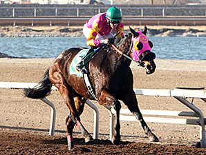 Homerun Berti wins the 2014 Budweiser Handicap.