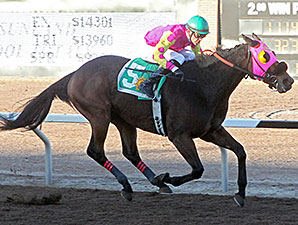 Homerun Berti wins the 2013 KLAQ Handicap.