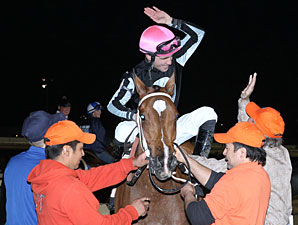 Hometown Gossip wins the 2012 Louisiana Jewel.