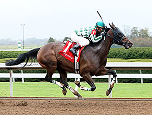 Honey Lake - Allowance Win, October 15, 2014.