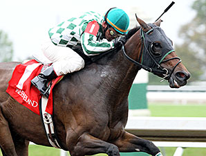 Honey Lake - Allowance Win, October 15, 2014.