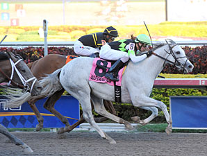 Honorable Dillon wins the 2013 Hutcheson Stakes.