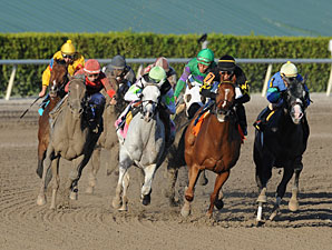 Honorable Dillon wins the 2013 Hutcheson Stakes.