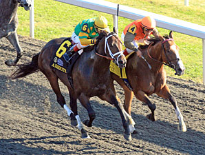Hoofit wins the 2011 Phoenix.