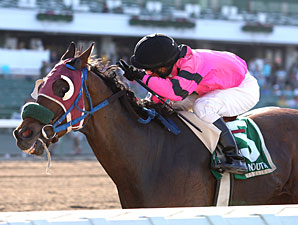 Hop Skip and Away wins the 2013 John J. Reilly Handicap.