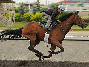 Horseshoe Hill - Woodbine, May 2012.