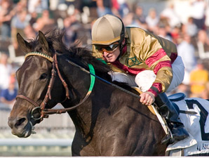 Hot Cha Cha wins the 2009 Pucker Up.