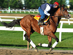 Hotep at Woodbine on June 30, 2010.