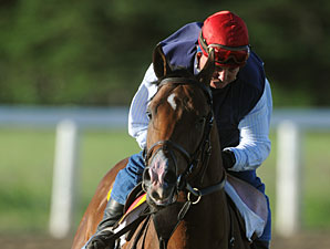 Hotep at Woodbine on June 30, 2010.