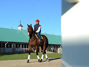 Hotep at Woodbine on June 30, 2010.
