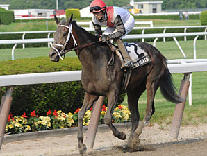 Hour Glass wins the 2010 Vagrancy.