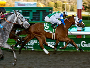 Hudson Landing wins the 2012 All American Stakes.