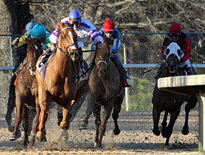 Humble Smarty wins the NoDouble Breeders Stakes.