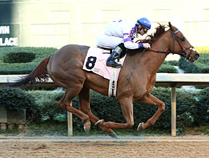 Humble Smarty wins the NoDouble Breeders Stakes.