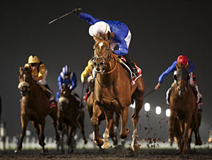 Hunter's Light wins the 2013 Al Maktoum Challenge Round III.