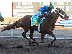 Hushs Storm wins the Johnie L Jamison Stakes.