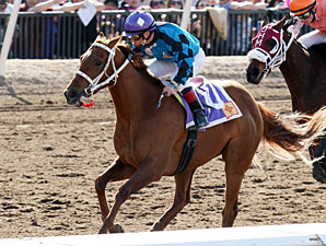 Hush's Storm wins the New Mexico Breeders' Derby.