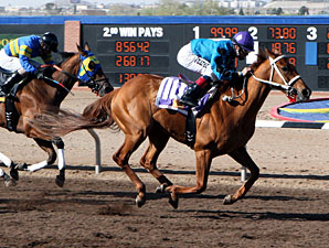 Hush's Storm wins the New Mexico Breeders' Derby.