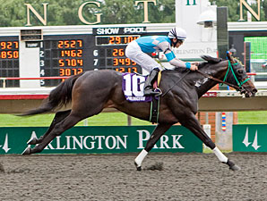 Hydro Power wins the 2011 Springfield Stakes.