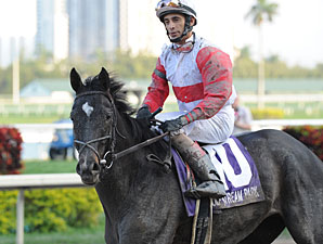 Hymn Book wins the 2012 Donn Handicap.