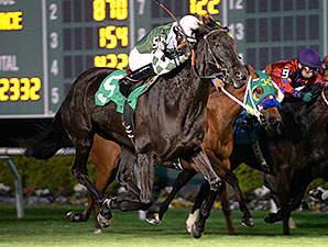 I Am Jane Dough wins the 2015 Tomball Distaff Stakes.