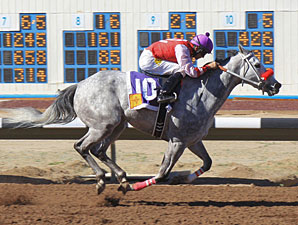 I Am Lesters Gal wins the 2012 Russell and Hellen Foutz Distaff Handicap.