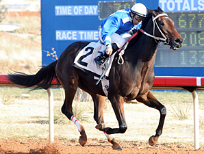 I Stand Alone wins the Rio Rancho Overnight Stakes.