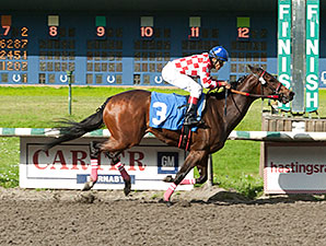 I Think So wins the 2014 Strawberry Morn Handicap.