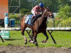 I Think So wins the 2014 Strawberry Morn Handicap.