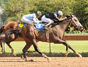 Ibboyee wins the 2010 New York Derby.