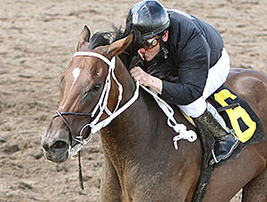 Ice For The Lady wins the Northbound Pride Oaks.