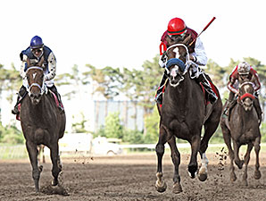 Ice For The Lady wins the Northbound Pride Oaks.