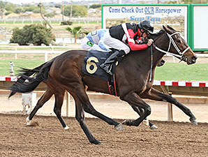 Idling wins the 2013 Arizona Juvenile Fillies Stakes.